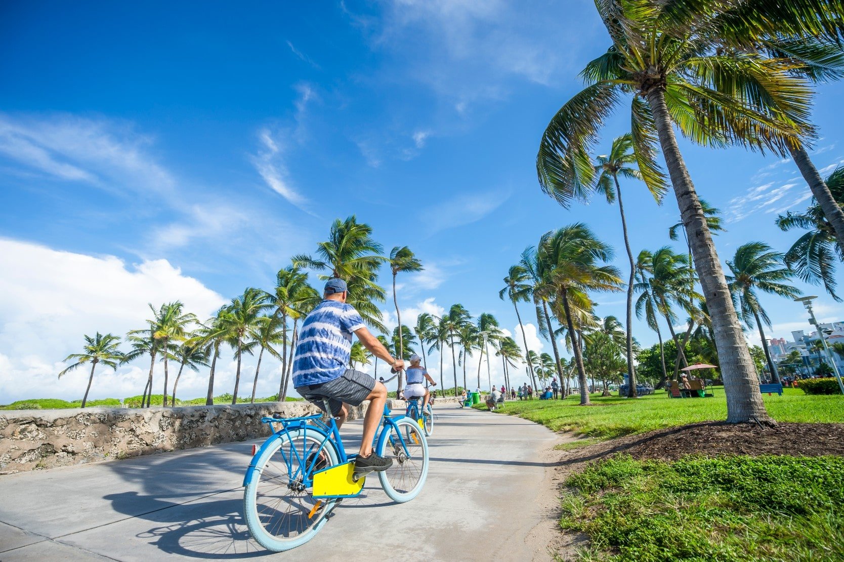 People cycling under palm trees in Venice Florida